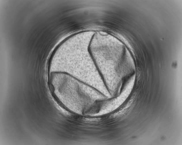 X0000098180843200805221536