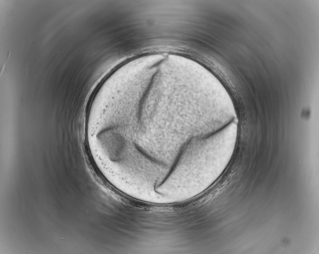 X0000098180844200805221536