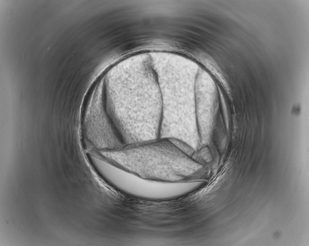 X0000098180845200805221536