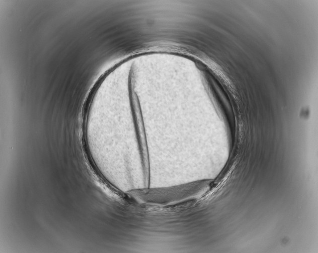 X0000098180846200805221536