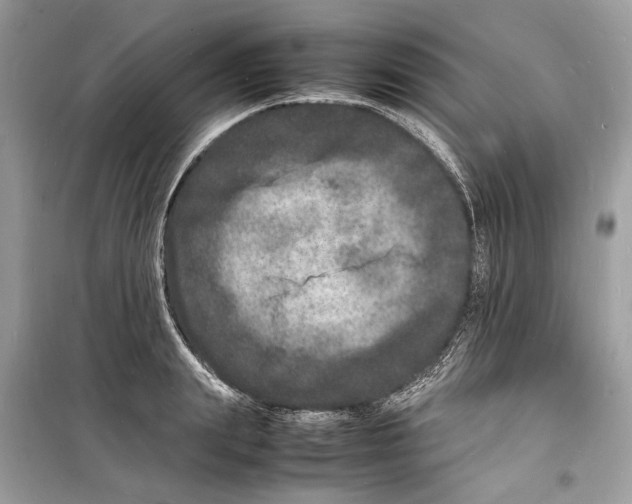 X0000098180847200805221536