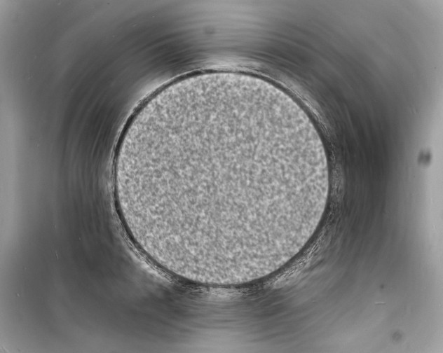 X0000098180848200805221536