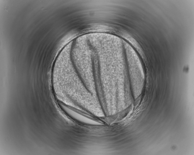 X0000098180850200805221536