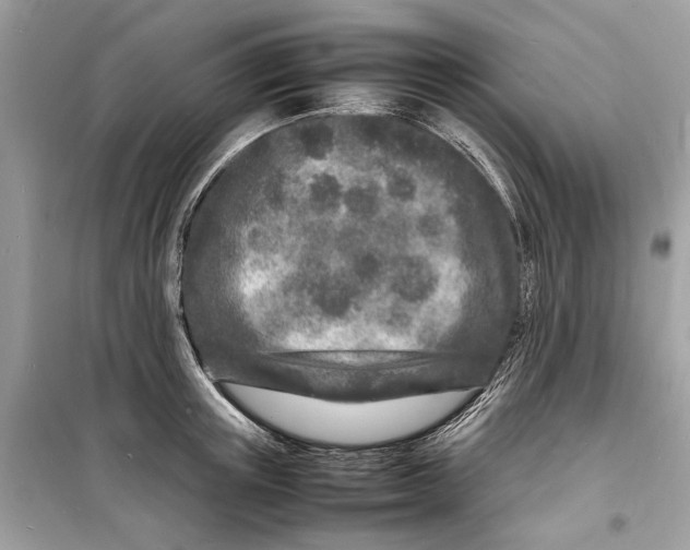 X0000098180851200805221536