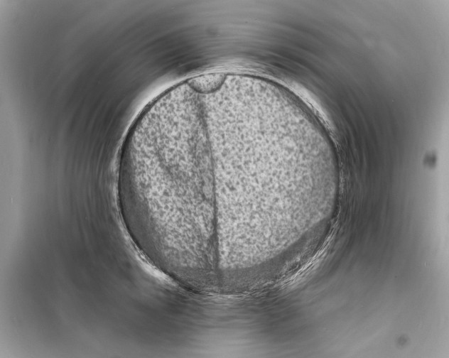 X0000098180854200805221536