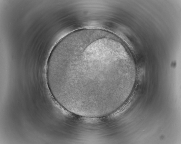 X0000098180856200805221536