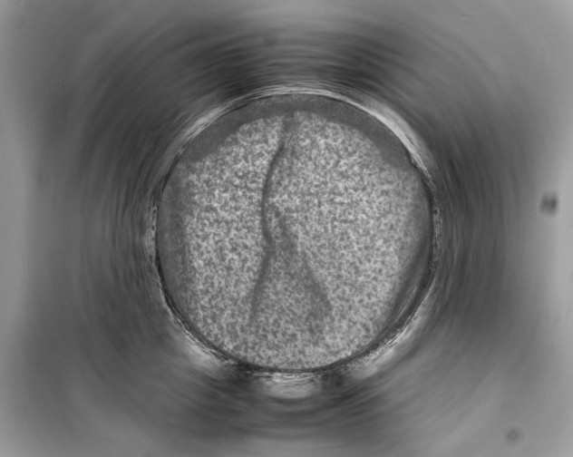 X0000098180857200805221536