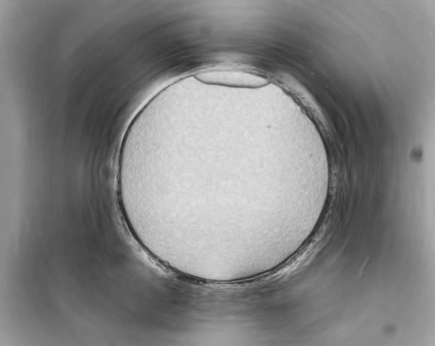 X0000098180860200805221536