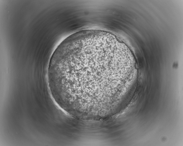 X0000098180863200805221536