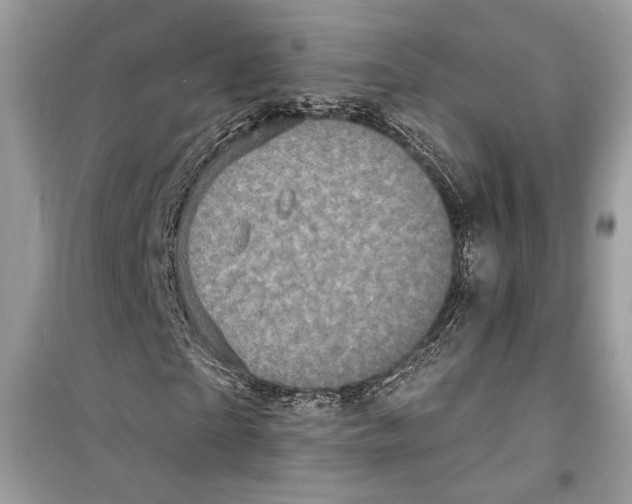 X0000098180865200805221535