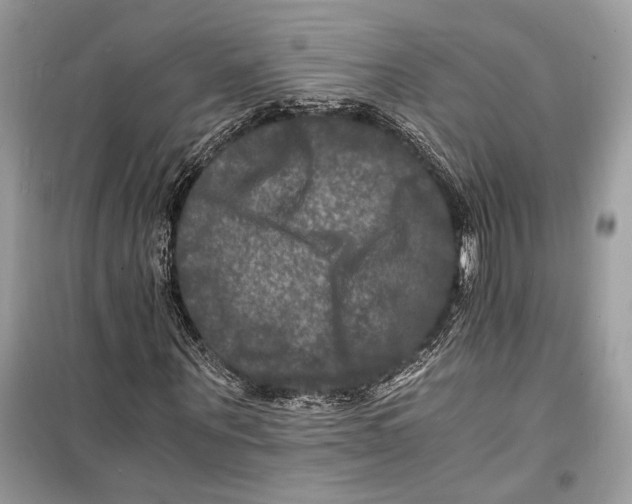 X0000098180867200805221535