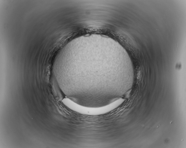 X0000098180868200805221535