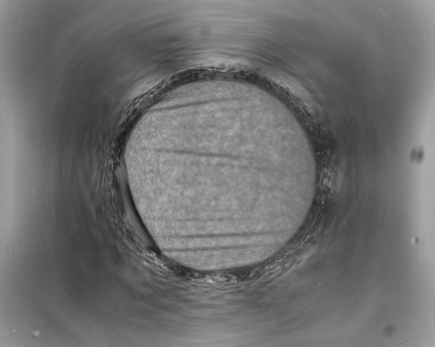 X0000098180869200805221535