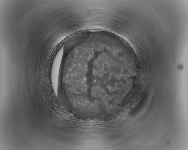 X0000098180871200805221535