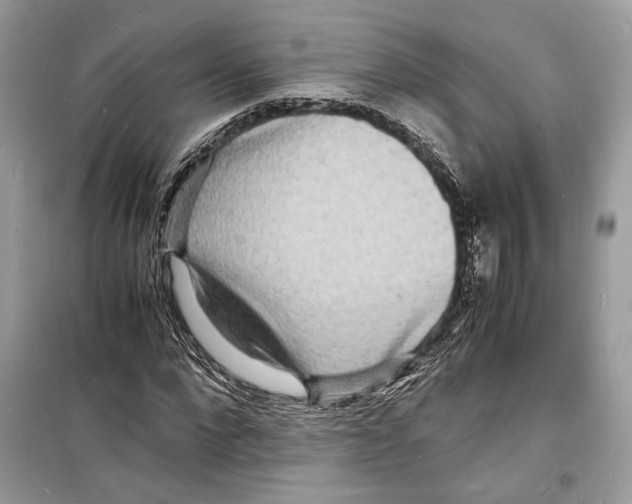 X0000098180872200805221535