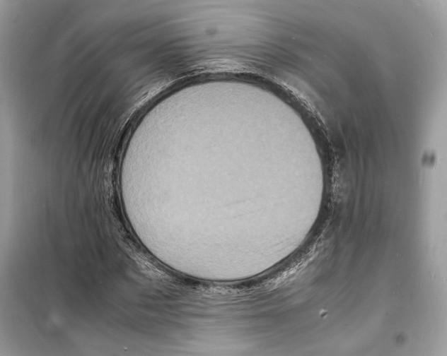 X0000098180873200805221535