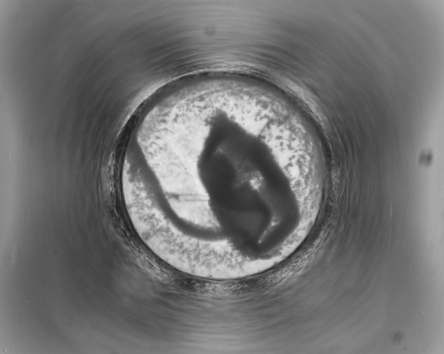 X0000098180875200805221535