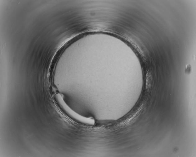 X0000098180876200805221535