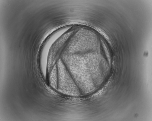 X0000098180877200805221535