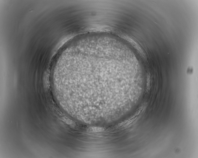 X0000098180878200805221535