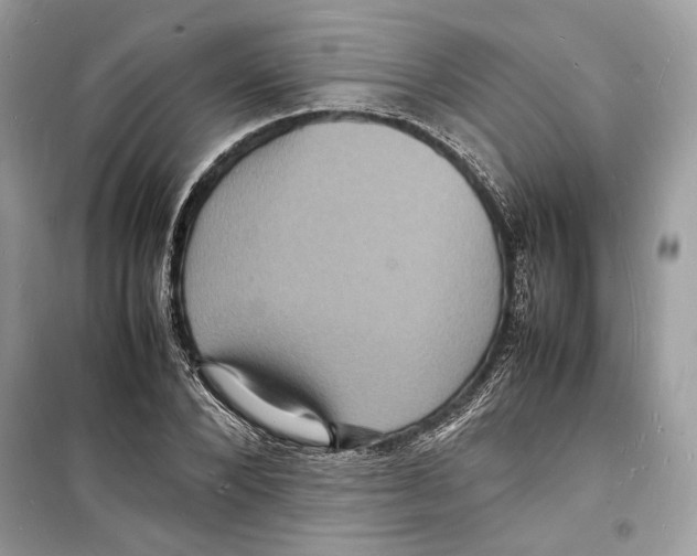 X0000098180880200805221535