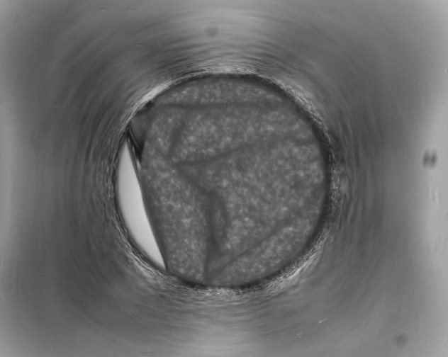 X0000098180881200805221535