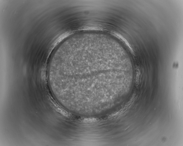 X0000098180882200805221535