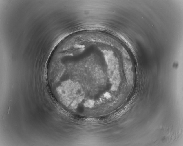 X0000098180883200805221535