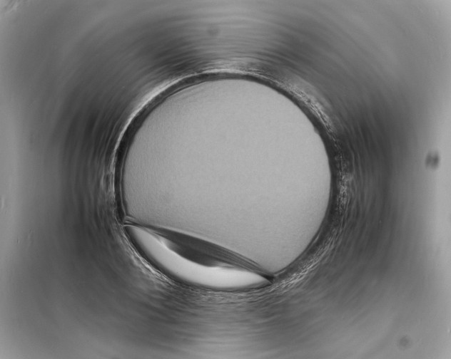 X0000098180884200805221535