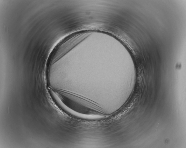 X0000098180888200805221535