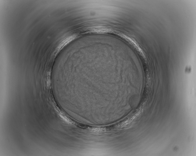 X0000098180889200805221535