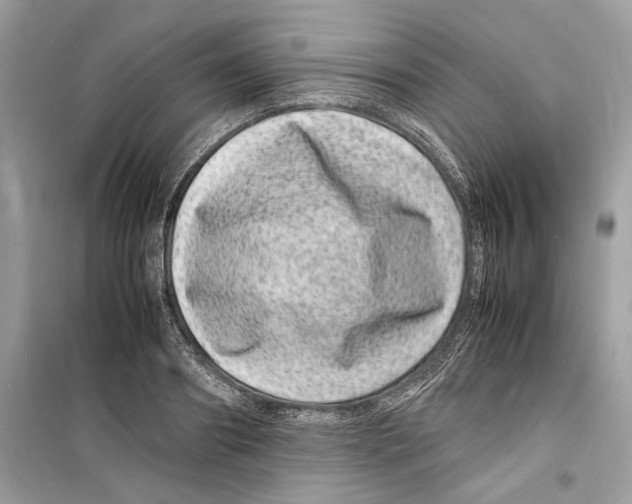 X0000098180890200805221535