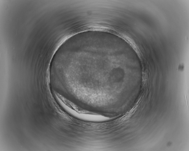 X0000098180891200805221535