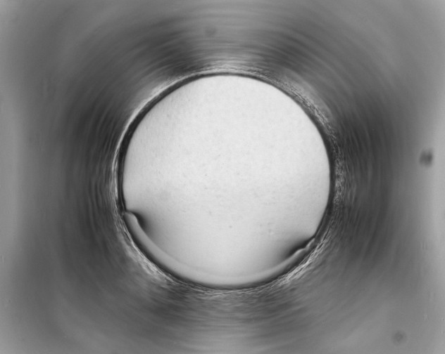 X0000098180892200805221535