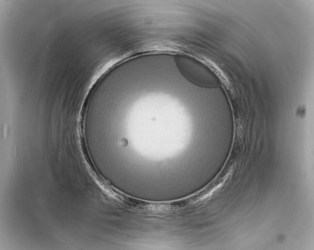 X0000098180893200805221535