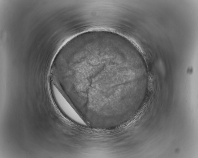 X0000098180895200805221535