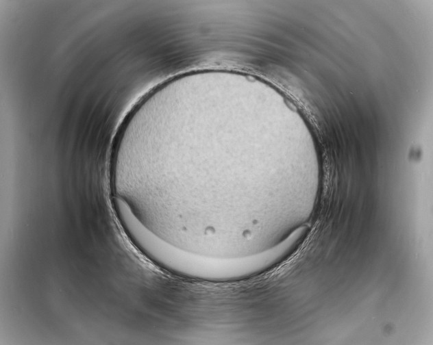 X0000098180896200805221535