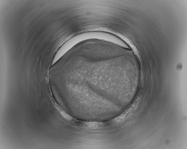 X0000098180897200805221535