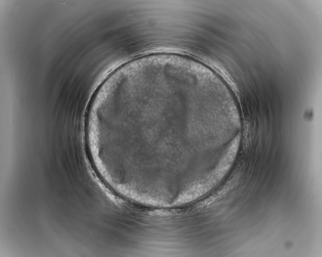 X0000098180898200805221535