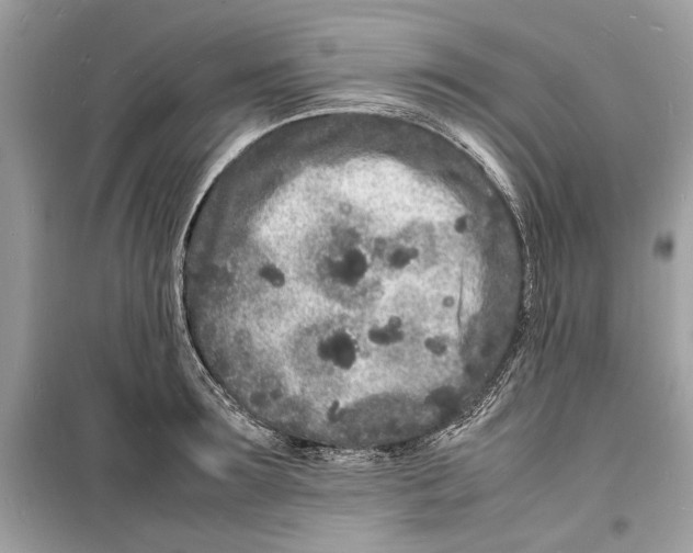 X0000098180899200805221535