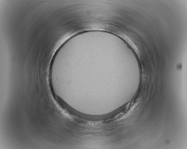 X0000098180901200805221535