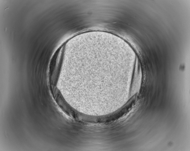 X0000098180902200805221535