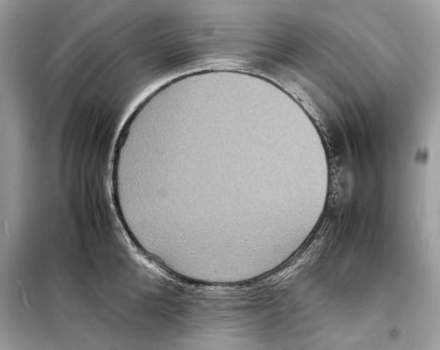 X0000098180904200805221535