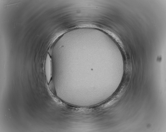 X0000098180905200805221535