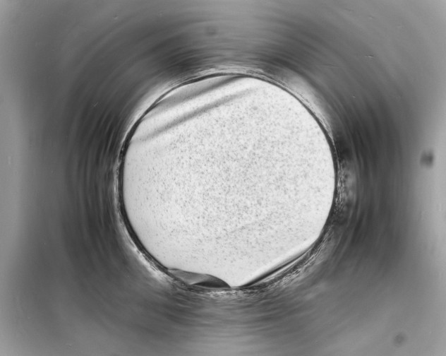 X0000098180906200805221535