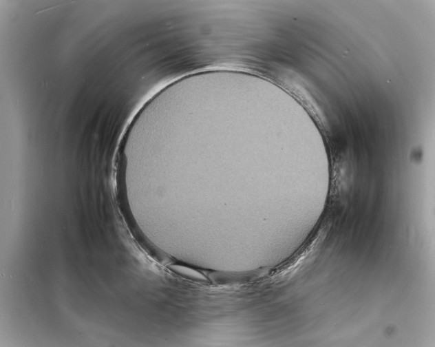 X0000098180908200805221534