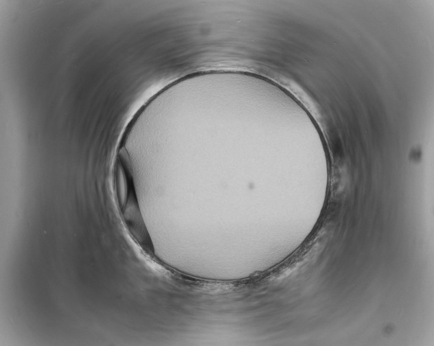 X0000098180909200805221534