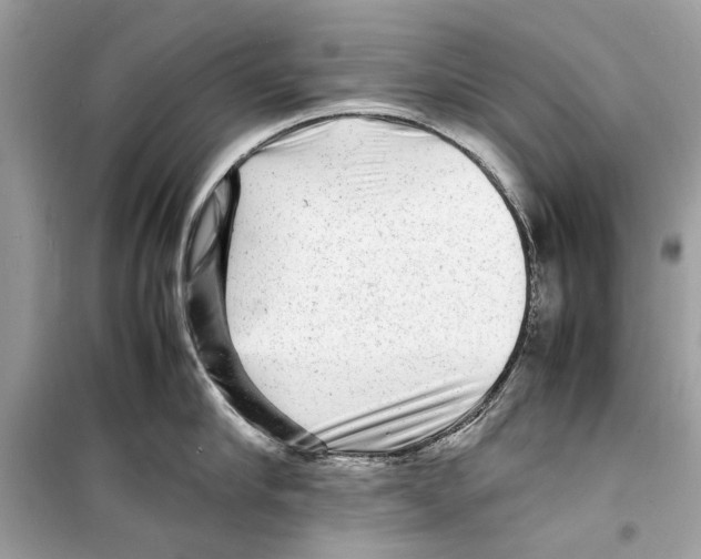 X0000098180910200805221534