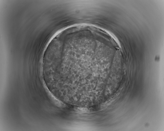 X0000098180911200805221534