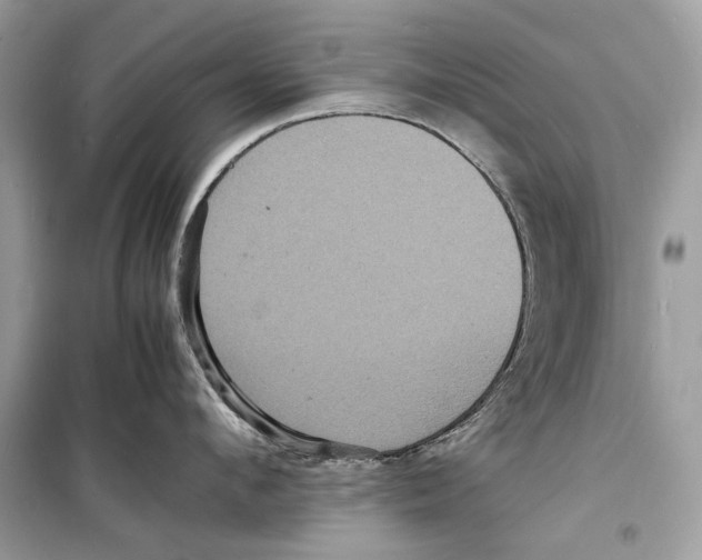 X0000098180912200805221534